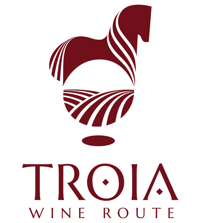 TROIA v2